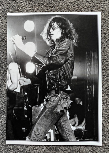 Joey ramone the - joey, /
