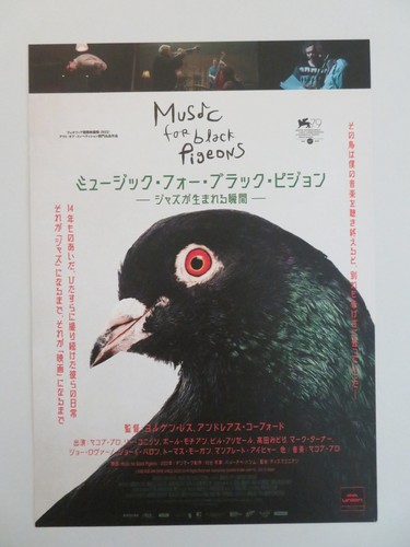 Music for black pigeons - black,