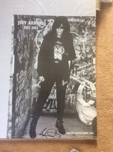 Joey ramone 2001 - joey,
