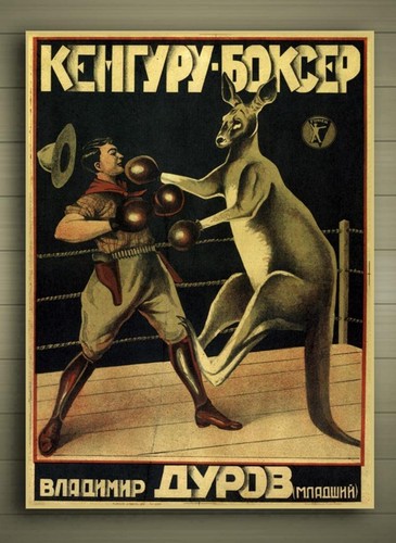 Kangaroo boxing framed canvas - kangaroo,