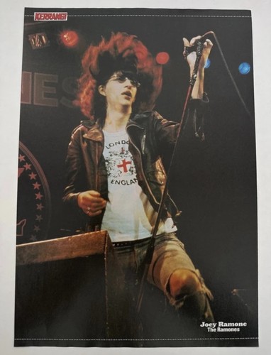 Joey ramone - ramone, ramones)