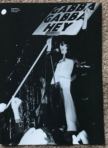 Joey ramone 2001 full page - ~,
